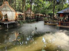 -二荆条·蜀鲜汇城市森林火锅