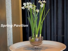 -泉客厅Spring Pavilion(303M空中会客厅)