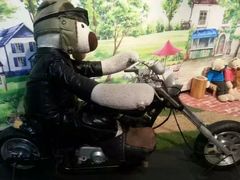 -济州岛泰迪熊博物馆