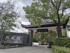 -南汇桃花村