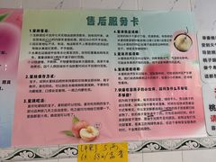 -老袁家蜜桃农场·阳山水蜜桃