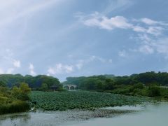 -观音山