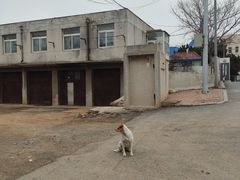 -黑石礁公园