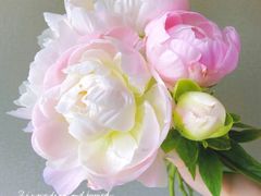 -好利来(朝外店)