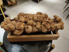 -椰子营·椰子鸡火锅(万象里店)