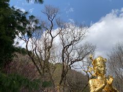-丽江玉水寨