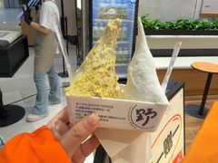 -野人先生现做冰淇淋(北京环宇荟店)