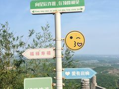 -句容茅山景区