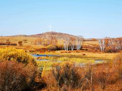 -塞罕坝国家级自然保护区