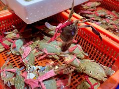 -巽寮印象美食部落餐厅·海鲜·地方特色菜(惠州体验店)