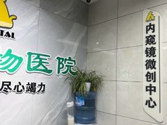 -半岛宠物医院24小时(白果林店)