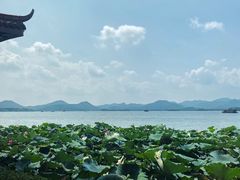 -湖畔居茶楼(湖滨店)