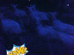 iphone_upload_pic-浮山香苑