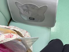 -北京观赏动物医院·24小时大型综合·猫专科·异宠专科