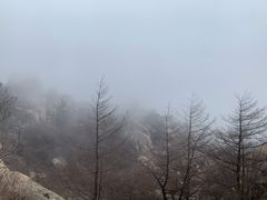 -崂山巨峰游览区
