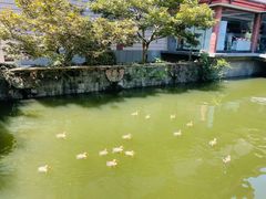 -浙江省博物馆(孤山馆区)