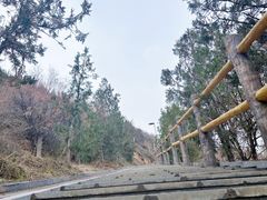 -兰山公园