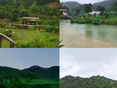 -广州市流溪河国家森林公园