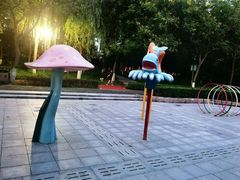 -大兴滨河森林公园