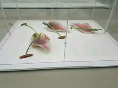 -康宁玻璃博物馆