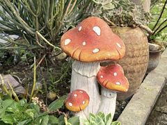 -大理.老字号渝记酸萝卜乌鱼(古城总店)