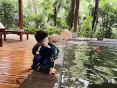 -天目湖御水温泉·度假酒店