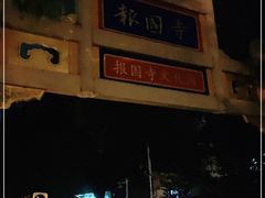 -报国寺