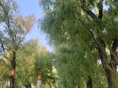 -长春市南湖公园