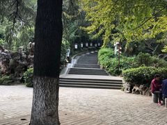 -伯先公园
