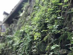 -丹山赤水风景名胜区