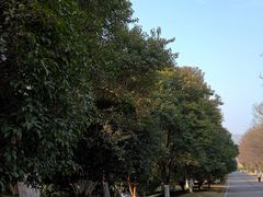 -方山风景区定林寺