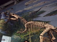-自贡恐龙博物馆