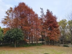 -宝界山林公园