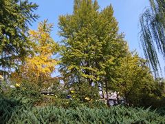 -元大都城垣遗址公园