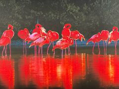 -罗红摄影艺术馆