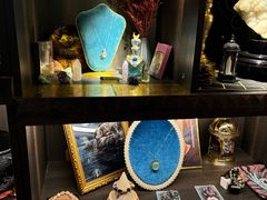 -雪灵魔法世界SHELLY’S TAROT(大良桂畔里店)