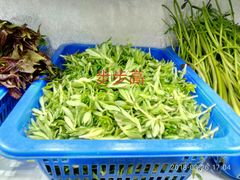 -老味道1992(武当山店)