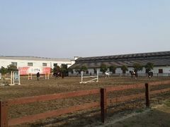 android_upload_pic-松声马术俱乐部