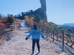 -磬锤峰森林公园