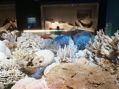 -海合安天津极地海洋公园