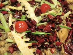 -老板恋上鱼(恒隆广场店)