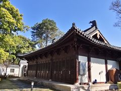 -江心屿景区