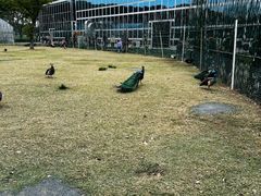 -苏州太湖西山岛开心农场