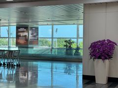 -福州长乐国际机场