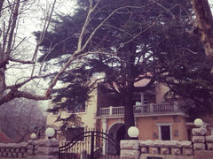 iphone_upload_pic-八大关景区