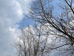 -白鹭湾湿地公园