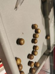 -金大福珠宝(万家丽广场店)