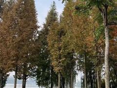 -眉山湿地公园(东坡区)