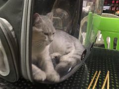 -啊溜烧烤·炭火传承(南澳店)