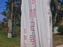 -东郊椰林